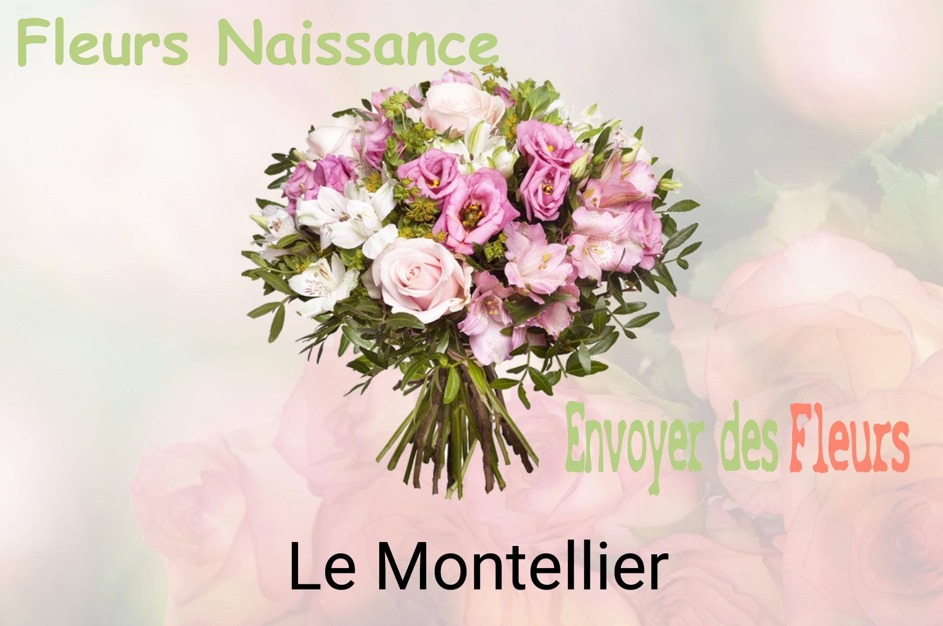 Bouquet de fleurs de naissance livré à Le Montellier